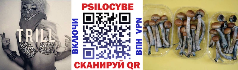 где найти наркотики shop состав Псилоцибиновые грибы Magic Shrooms Богородск